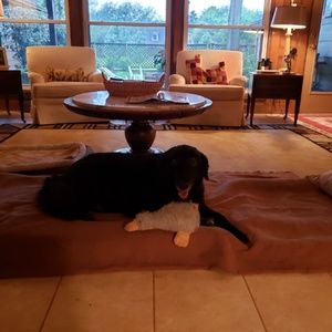 Meet your Posher, Patricia